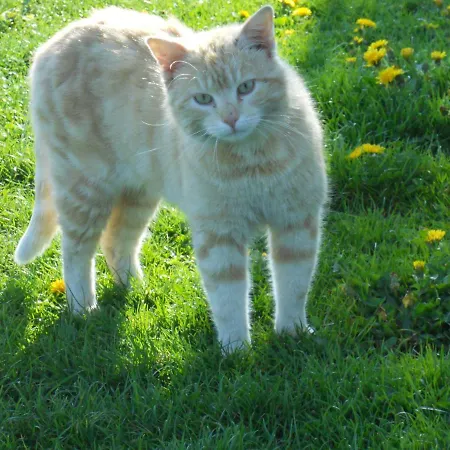 Biohof Himbrechtsoed