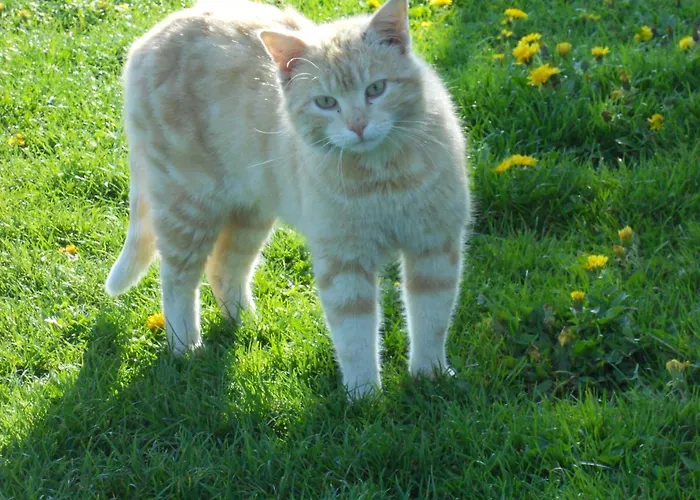 Biohof Himbrechtsoed