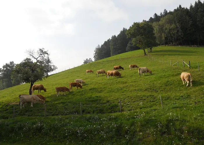 Biohof Himbrechtsoed