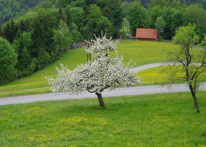 Lejlighed Biohof Himbrechtsoed Waidhofen an der Ybbs